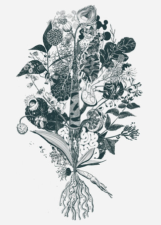 'Urpflanze - Medicines' Screen print, 115x65cm.  Inspired by Turpin's mythological plant,  the forms and stories of different plants used medicines today and the fine balance between poison and medicine. 